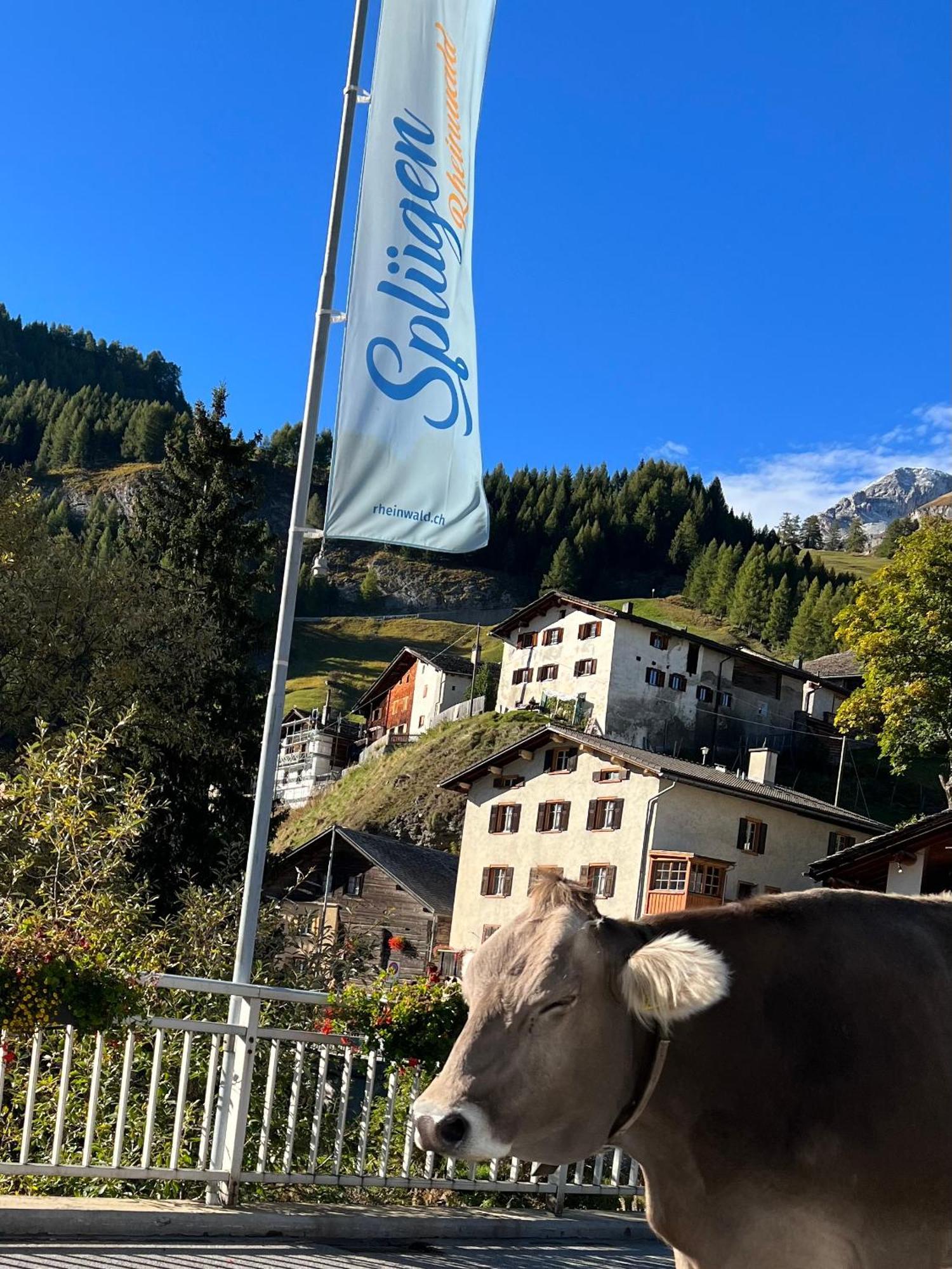 Hotel Piz Tambo Splügen Exterior foto