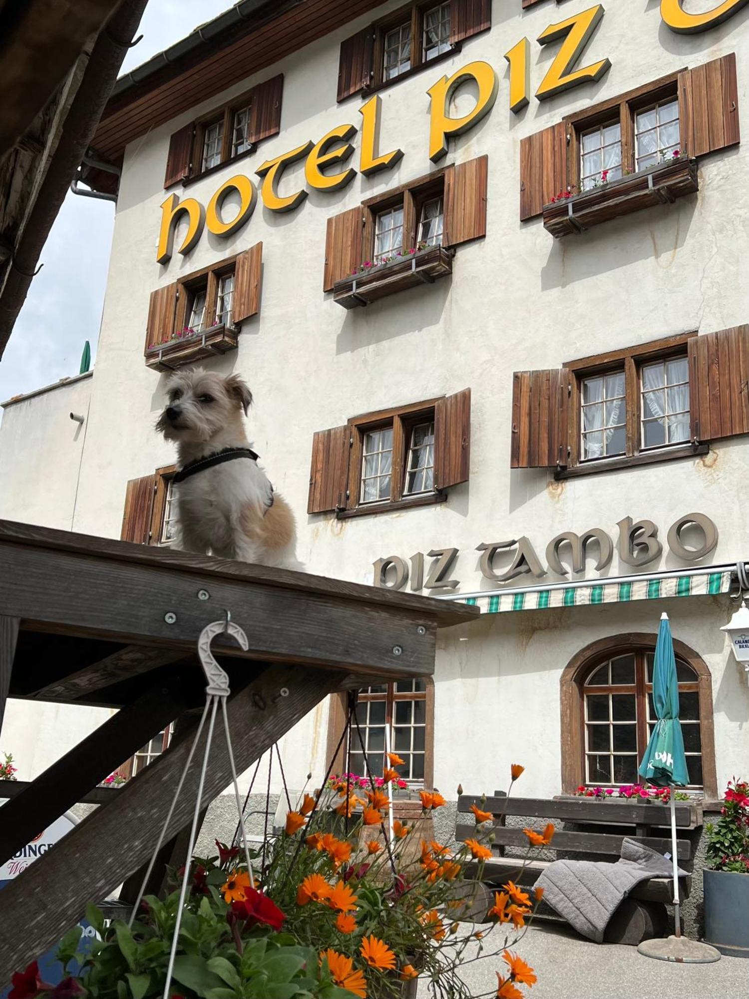 Hotel Piz Tambo Splügen Exterior foto