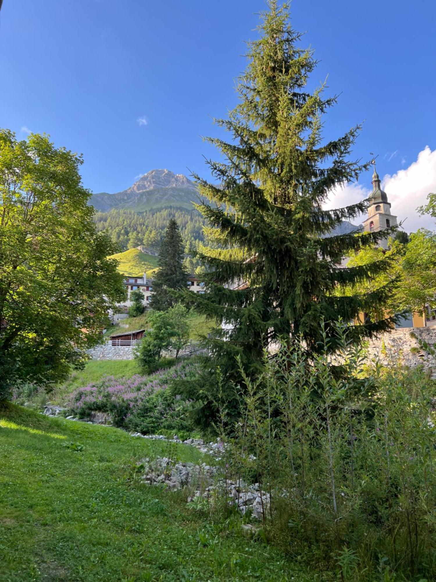 Hotel Piz Tambo Splügen Exterior foto